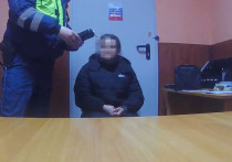 Ночью на выезде из Мончегорска сотрудники ГИБДД остановили автомобиль Mazda