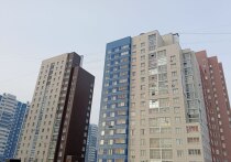 В минувшем году почти половина от общего объёма инвестиций в недвижимость РФ пришлась на офисы