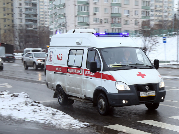 Два случая заражения оспой обезьян выявили в российском городе