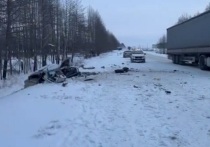 В Курганской области в условиях снегопада произошла дорожная авария, в которой погиб молодой человек 2001 года рождения