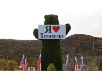 Туроператоры Мурманской области могут терять до 20% стоимости каждого тура, если поездки отменяют из-за перекрытия дороги на Териберку. Об этом ТАСС сообщила руководитель одной из местных турфирм.