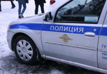 Стали известны подробности биографии семейной пары, погибшей в понедельник днем в Новой Москве