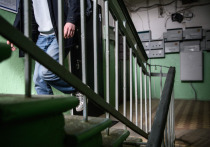 В поселке ВНИИССОК, в доме №6 по улице Дружбы, разворачивается тихая трагедия, от которой сжимается сердце даже у случайных прохожих