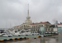 Прокуратура Каргапольского района Курганской области направила в Адлерский районный суд Сочи уголовное дело, возбужденное в отношении 42-летнего ранее судимого местного жителя