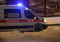 В Запорожской области в результате атаки ВСУ погиб человек