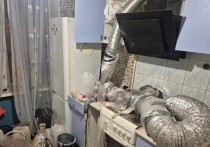 Сегодня, 18 февраля, полиция обнаружила сразу две лаборатории. Группа из двух мужчин и одной женщины подозревается в производстве и сбыте наркотических веществ через «теневой сегмент» интернета. Об этом сообщили в пресс-службе ГУ МВД России по г. Санкт-Петербургу и Ленинградской области.