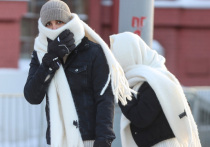 Нынешняя зима проходит в режиме температурных качелей – оттепель сменяется морозами, потом снова теплеет