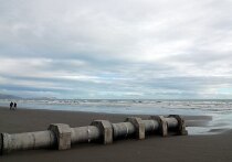 В столице Новой Зеландии Веллингтоне нарастает волна возмущения, поскольку городская канализация продолжает сливать сточные воды прямо в океан более чем через две недели после катастрофического обрушения очистных сооружений