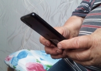 В начале 2026 года наибольший интерес к подработке проявили пожилые петербуржцы. Интерес к частичной занятости у горожан старше 65 лет вырос на 87%, сообщает РИА «ФедералПресс».
