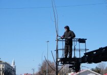 В Астрахани на площади Ленина приступили к подготовке зеленых насаждений к весеннему сезону