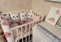 Этой весной (с 1 марта) в России запустят специальный регистр для беременных женщин