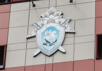 Председатель Следственного комитета России Александр Бастрыкин потребовал доклад по делу о нарушении жилищных прав жительницы Челябинска, оставшейся без попечения родителей
