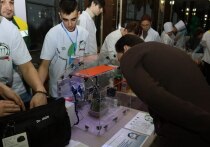 Конкурс соберет порядка 700 активных дончан