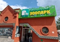 Бескоготная выдра Василёк стал победителем голосования в рамках конкурса «Зоо-мистер 2026»