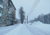 ЗАТО Александровск оказался в пятерке самых заснеженных муниципалитетов Мурманской области за прошедшую ночь. Об этом сообщили в администрации ЗАТО.