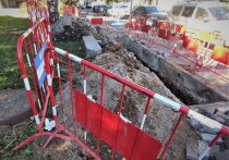 В Калининградской области определили подрядчика, который будет обеспечивать сохранность исторического наследия города во время стройки парковки в Южном парке