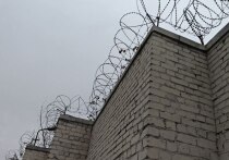 В Никеле в суд направили дело о покушении на убийство.