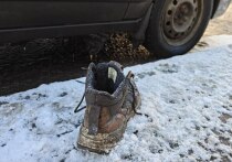 Калининградстат опубликовал статистику по объектами бытового обслуживания в период с 2014 по 2025 год