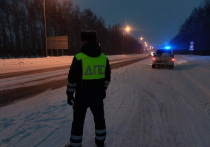 За пять дней в Марий Эл автоинспекторы отстранили от управления автотранспортом более двух десятков нетрезвых водителей.