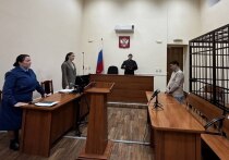 В Волжске постановлен приговор в отношении водителя, дважды попавшегося пьяным за рулем.
