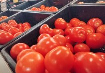 В феврале специалисты Россельхознадзора проверили точки продажи овощей и фруктов в Мурманске