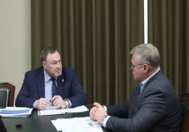 Министр здравоохранения Астраханской области Александр Буркин доложил губернатору Игорю Бабушкину о результатах развития отрасли