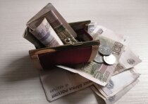 Мурманские компании задолжали своим сотрудникам 20,1 млн рублей заработной платы к концу января 2026 года. 