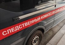 Сегодня, 2 марта, глава СК России Александр Бастрыкин поручил представить доклад о ходе расследования дела о применении насилия в отношении представителя власти. Инцидент произошел 28 февраля на улице Уточкина. Об этом сообщает пресс-служба Следственного комитета Российской Федерации.