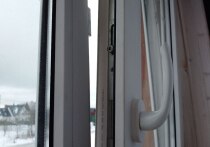 На стене в квартире или доме появилась плесень — сюжет, как в фильме ужасов? Почему она появилась? Что делать? Кому жаловаться? Об этом рассказала «МК в Ленобласти» генеральный директор одной из крупнейших в Петербурге частных управляющих компаний в сфере недвижимости «ТЕРРА» Юлия Федорова.