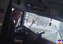 В Йошкар-Оле Эл автоинспекторы помогли матери встретиться с потерявшимся ребенком.