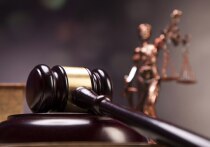 Химкинский городской суд вынес приговор по делу о хищении 215 миллионов рублей у Министерства внутренних дел РФ