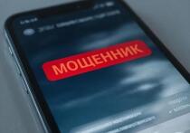 В прокуратуре Красноярского края обнародовали неутешительную статистику по дистанционному мошенничеству
Только за последнюю неделю жертвами аферистов стали 255 жителей региона, потерявшие в общей сложности более 94 миллионов рублей