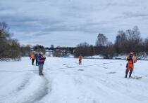 Профессионалы оценили ход поисков пропавших детей в Звенигороде