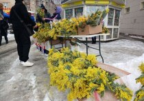 Пока цветочные лавки города переживали ажиотаж, а мужчины ломали голову над выбором букетов, мы решили вспомнить: с чего всё начиналось?
Почему 8 Марта — это не просто про мимозы и тюльпаны, а про силу духа, борьбу и женщин, которые меняли мир