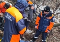 9 марта 41-летняя жительница отправилась посмотреть на замерзший водопад за деревней Быстрая в Минусинском округе, но вместо впечатлений получила тяжёлую травму