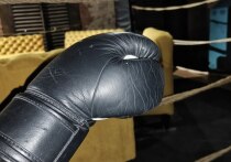Сын главного тренера петербургской футбольной команды «Зенит» Семен Семак дебютировал в качестве боксера на поединке в Шотландии. Об этом сообщает спортивное издание «Чемпионат».