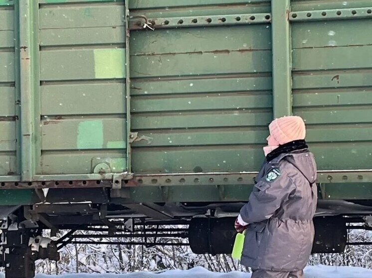 В Чувашию поступили партии кокосовой стружки и арахиса из-за рубежа