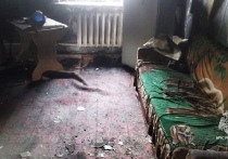 Трагедия произошла в ночь на 11 марта в селе Сухобузимо Красноярского края