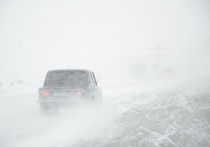 В Курганской области ограничили движение на всех дорогах регионального значения и на трассе «Иртыш» с 350 по 465 километр (Лебяжьевский, Петуховский и Макушинский округа)