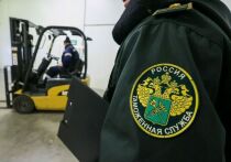 В России начнут быстрее передавать государству невостребованные автомобили