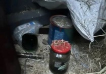 В Наримановском районе Астраханской области сотрудники полиции пресекли незаконный оборот наркотических средств