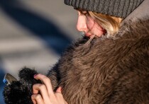 Грядут выходные, и народ снова потянется в театры, но, как говорится, есть нюансы: в центре Москвы Интернет практически не работает. Сгорит ли ваш билет в театр, если вы не сможете его предъявить на входе, узнал корреспондент «МК». 
