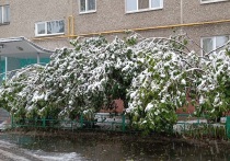 В Свердловскую область пришла оттепель