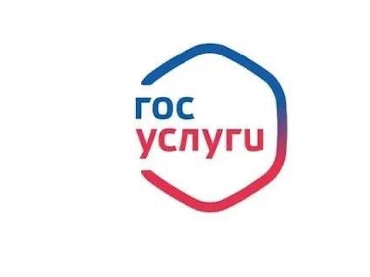 Приморцев ловят на «взломе» Госуслуг