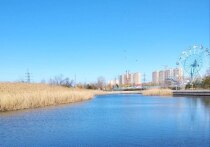 Проверка состояния рек Кальмиус, Кальчик и Мизинец необходима для планирования мероприятий по очистке русел рек в текущем году
