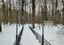Новый акт вандализма в йошкар-олинской Сосновке: кому-то помешали фонари на мостике.