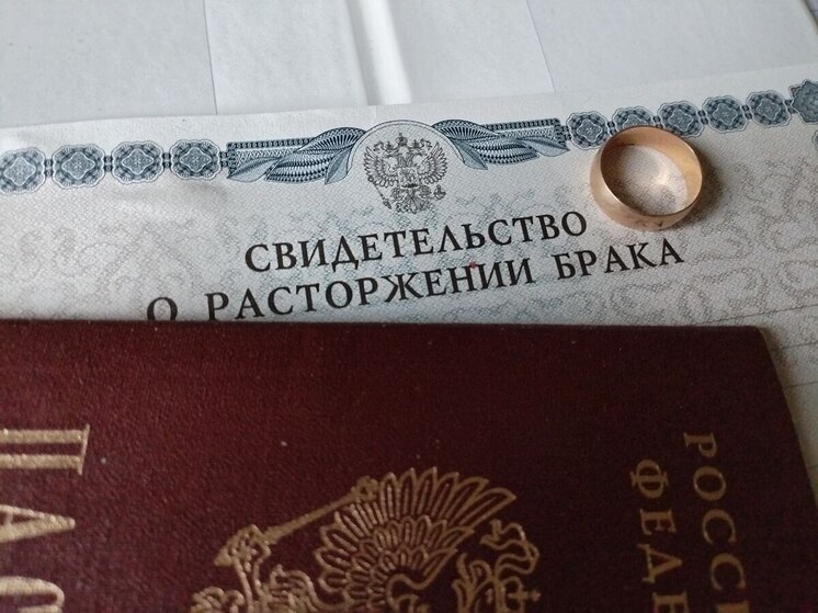 Юрист Феттер посоветовала мужчинам переключиться на быт во время развода