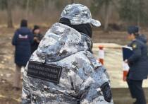 Прокуратура Йошкар-Олы в судебном порядке добилась прекращения права частной собственности на земельные участки в границах особо охраняемой природной территории «Сосновая роща».