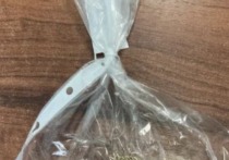 В Красноярском округе Астраханской области полицейские задержали мужчину, подозреваемого в открытом хищении золотой цепочки у пенсионера