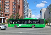 В Екатеринбурге 103 новых автобуса, которые закупаются по программе Государственной транспортной лизинговой компании, выйдут на маршруты в текущем году